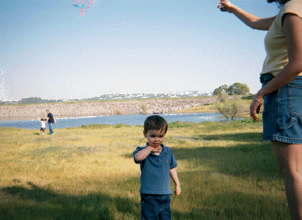 andykite.gif